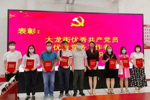 幻影体育网页版集团党支部荣获先进党组织称号、陈文舒党支部书记荣获优秀党