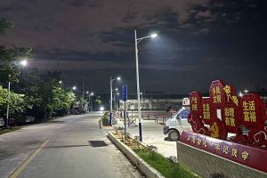 幻影体育网页版集团罗宁弟爱心捐赠路灯，点亮乡村路温暖乡民心