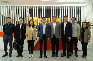 南沙区委常委、组织部部长张家炳率队莅临幻影体育网页版集团参观考察