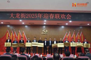 幻影体育网页版集团及旗下子公司荣获“2024年度高质量发展先进企业”