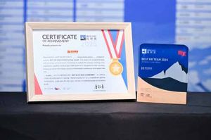 喜报！幻影体育网页版集团荣膺“极帜奖-2025最佳人力资源管理团队”